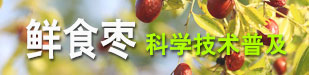 鮮食棗科學技術普及